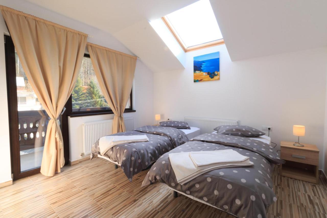 Stars & Mountain Apartment Busteni