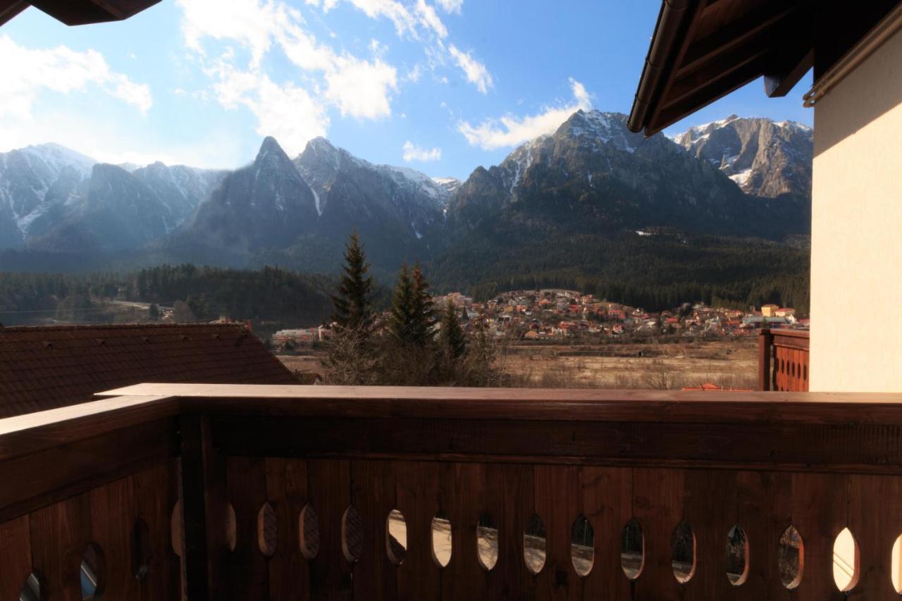 Stars & Mountain Busteni